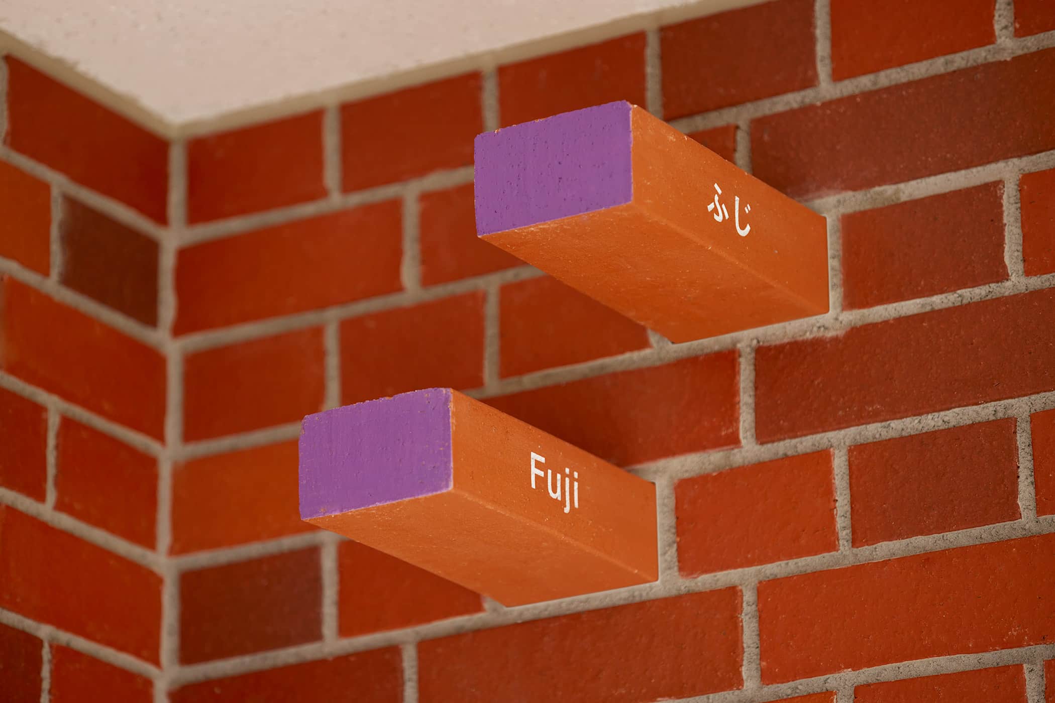 幼儿园导视-爱知县名古屋市平手幼儿园